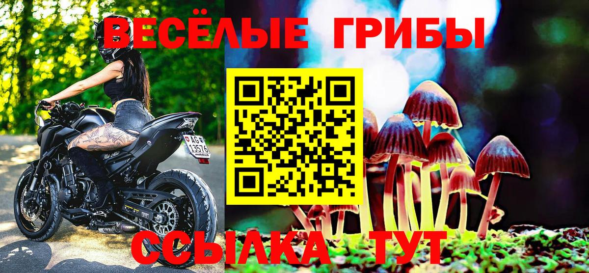 Галлюциногенные грибы Magic Shrooms Котельники